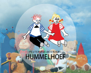 Website-laten-maken-Oirschot-Hummelhoef