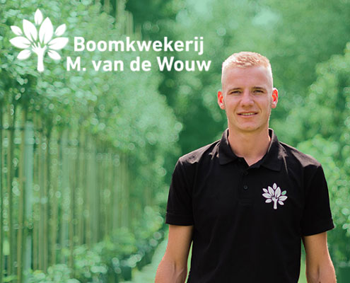 van de wouw boomkwekerij webprofessor