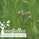 voedselbos kattenbergsebroek webprofessor